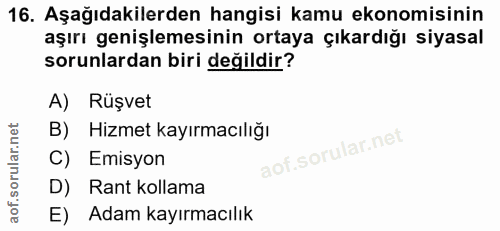 16. soru: Aşağıdakilerden hangisi kamu ekonomisinin aşırı genişlemesinin ortaya çıkardığı siyasal sorunlardan biri değildir? A)…