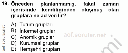 19. soru: Önceden planlanmamış, fakat zaman içerisinde kendiliğinden oluşmuş olan gruplara ne ad verilir? A) Tutum grupları B)…