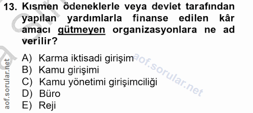 13. soru: Kısmen ödeneklerle veya devlet tarafından yapılan yardımlarla finanse edilen kâr amacı gütmeyen organizasyonlara ne a…