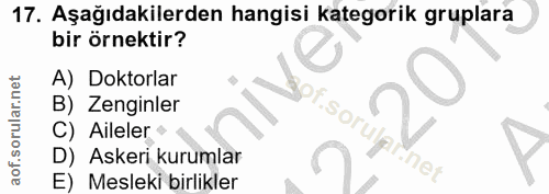 17. soru: Aşağıdakilerden hangisi kategorik gruplara bir örnektir? Doktorlar B) Zenginler C) Aileler • D) Askeri kurumlar E) Me…