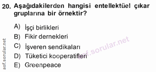 20. soru: Aşağıdakilerden hangisi entelektüel çıkar gruplarına bir örnektir? A) İşçi birlikleri B) Fikir dernekleri D) Tüketici…
