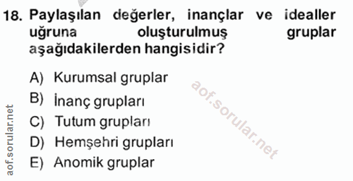18. soru: Paylaşılan değerler, inançlar ve idealler ugruna oluşturulmuş gruplar aşağıdakilerden hangisidir? A) Kurumsal gruplar…