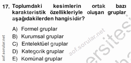 17. soru: Toplumdaki kesimlerin ortak bazı karakteristik özellikleriyle oluşan gruplar aşağıdakilerden hangisidir? A) Formel gr…