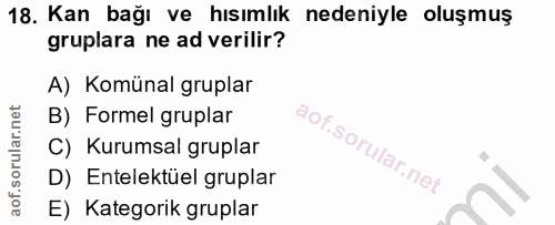 18. soru: Kan bağı ve hısımlık nedeniyle oluşmuş gruplara ne ad verilir? A) Komünal gruplar B) Formel gruplar C) Kurumsal grupl…