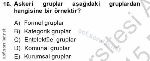 16. soru: Askeri gruplar aşağıdaki gruplardan hangisine bir örnektir? A) Formel gruplar B) Kategorik gruplar C) Entelektüel gru…