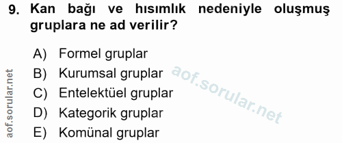 9. soru: Kan bağı ve hısımlık nedeniyle oluşmuş gruplara ne ad verilir? B) Kurumsal gruplar A) Formel gruplar C) Entelektüel g…