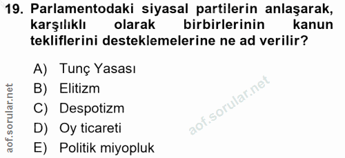 19. soru: Parlamentodaki siyasal partilerin anlaşarak, karşılıklı olarak birbirlerinin kanun tekliflerini desteklemelerine ne a…