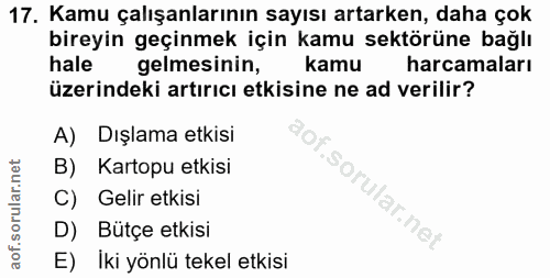 17. soru: Kamu çalışanlarının sayısı artarken, daha çok bireyin geçinmek için kamu sektörüne bağlı hale gelmesinin, kamu harcam…