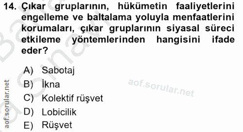 14. soru: Çıkar gruplarının, hükümetin faaliyetlerini engelleme ve baltalama yoluyla menfaatlerini korumaları, çıkar gruplarını…