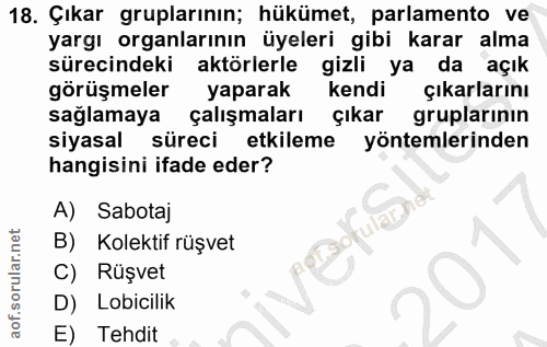 18. soru: Çıkar gruplarının; hükümet, parlamento ve yargı organlarının üyeleri gibi karar alma sürecindeki aktörlerle gizli ya…