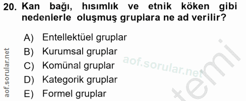 20. soru: Kan bağı, hısımlık ve etnik köken gibi nedenlerle oluşmuş gruplara ne ad verilir? A) Entellektüel gruplar B) Kurumsal…