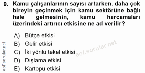 9. soru: Kamu çalışanlarının sayısı artarken, daha çok bireyin geçinmek için kamu sektörüne bağlı hale gelmesinin, kamu harcam…