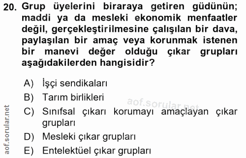 20. soru: Grup üyelerini biraraya getiren güdünün; maddi ya da mesleki ekonomik menfaatler değil, gerçekleştirilmesine çalışıla…