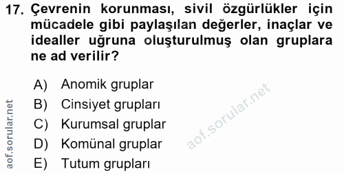 17. soru: Çevrenin korunması, sivil özgürlükler için mücadele gibi paylaşılan değerler, inaçlar ve idealler uğruna oluşturulmuş…