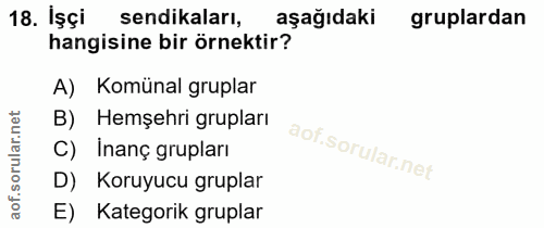 18. soru: İşçi sendikaları, aşağıdaki gruplardan hangisine bir örnektir? A) Komünal gruplar B) Hemşehri grupları C) Inanç grupl…