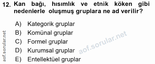 12. soru: Kan bağı, hısımlık ve etnik köken gibi nedenlerle oluşmuş gruplara ne ad verilir? A) Kategorik gruplar B) Komünal gru…