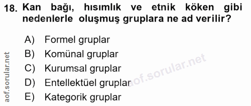 18. soru: Kan bağı, hısımlık ve etnik köken gibi nedenlerle oluşmuş gruplara ne ad verilir? A) Formel gruplar B) Komünal grupla…