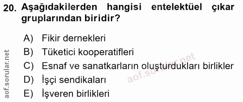 20. soru: Aşağıdakilerden hangisi entelektüel çıkar gruplarından biridir? A) Fikir dernekleri B) Tüketici kooperatifleri C) Esn…