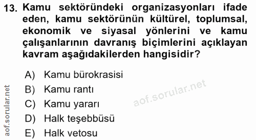 13. soru: Kamu sektöründeki organizasyonları ifade eden, kamu sektörünün kültürel, toplumsal, ekonomik ve siyasal yönlerini ve…