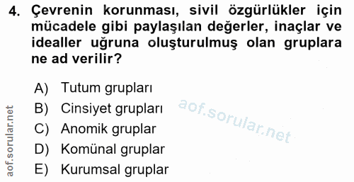 4. soru: Çevrenin korunması, sivil özgürlükler için mücadele gibi paylaşılan değerler, inaçlar ve idealler uğruna oluşturulmuş…