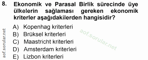 8. soru: Ekonomik ve Parasal Birlik sürecinde üye ülkelerin sağlaması gereken ekonomik kriterler aşağıdakilerden hangisidir? A…