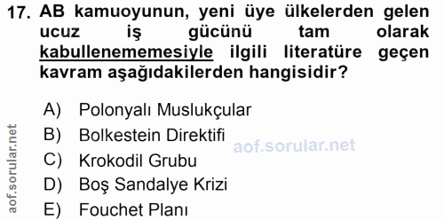 17. soru: AB kamuoyunun, yeni üye ülkelerden gelen ucuz l iş gücünü tam olarak kabullenememesiyle ilgili literatüre geçen kavra…