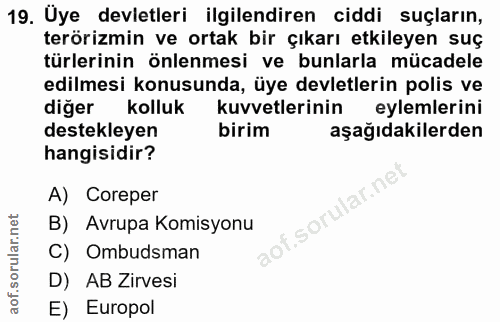 19. soru: Üye devletleri ilgilendiren ciddi suçların, terörizmin ve ortak bir çıkarı etkileyen suç türlerinin önlenmesi ve bunl…