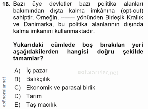16. soru: Bazı üye devletler bazı politika alanları bakımından dışta kalma imkânına (opt-out) sahiptir. Örneğin, --- yönünden B…