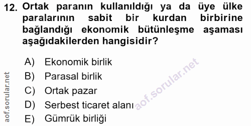 12. soru: Ortak paranın kullanıldığı ya da üye ülke paralarının sabit bir kurdan birbirine bağlandığı ekonomik bütünleşme aşama…