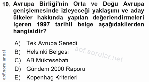 10. soru: Avrupa Birliği'nin Orta ve Doğu Avrupa genişlemesinde izleyeceği yaklaşımı ve aday ülkeler hakkında yapılan değerlend…