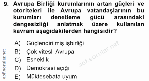 9. soru: Avrupa Birliği kurumlarının artan güçleri ve otoriteleri ile Avrupa vatandaşlarının bu kurumları denetleme gücü arası…