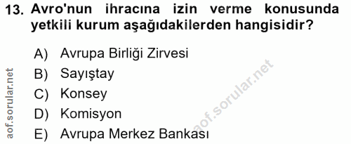 13. soru: Avro'nun ihracına izin verme konusunda yetkili kurum aşağıdakilerden hangisidir? A) Avrupa Birliği Zirvesi B) Sayışta…