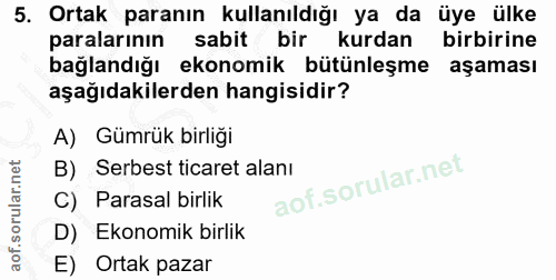 5. soru: Ortak paranın kullanıldığı ya da üye ülke paralarının sabit bir kurdan birbirine bağlandığı ekonomik bütünleşme aşama…