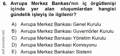 6. soru: Avrupa Merkez Bankası'nın iç örgütlenişi içinde yer alan oluşumlardan hangisi gündelik işleyiş ile ilgilenir? A) Avru…