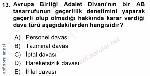 13. soru: Avrupa Birliği Adalet Divanı'nın bir AB tasarrufunun geçerlilik denetimini yaparak geçerli olup olmadığı hakkında kar…