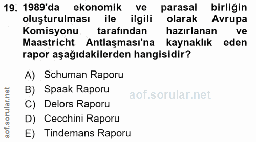 19. soru: 1989'da ekonomik ve parasal birliğin oluşturulması ile ilgili olarak Avrupa Komisyonu tarafindan hazırlanan ve Maastr…