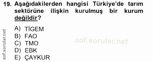 19. soru: Aşağıdakilerden hangisi Türkiye'de tarım sektörüne ilişkin kurulmuş bir kurum değildir? A) TİGEM B) FAO C) TMO D) EBK…