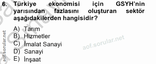 6. soru: Türkiye ekonomisi için GSYH'nin yarısından fazlasını oluşturan sektör aşağıdakilerden hangisidir? A) Tarım B) Hizmetl…