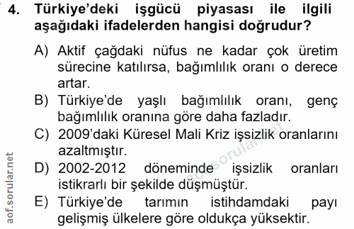 4. soru: Türkiye'deki işgücü piyasası ile ilgili aşağıdaki ifadelerden hangisi doğrudur? A) Aktif çağdaki nüfus ne kadar çok ü…