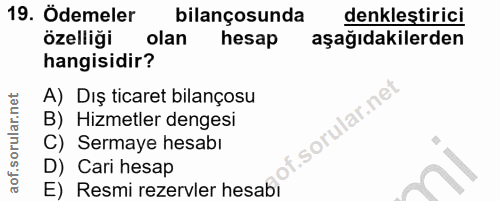 19. soru: Ödemeler bilançosunda denklestirici özelliği olan hesap aşağıdakilerden hangisidir? A) Dış ticaret bilançosu B) Hizme…