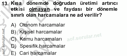 13. soru: Kısa dönemde doğrudan üretimi artırıcı etkisi olmayan ve faydası bir dönemle sınırlı olan harcamalara ne ad verilir?…
