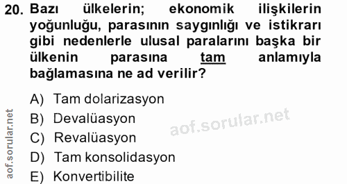20. soru: Bazı ülkelerin; ekonomik ilişkilerin yoğunluğu, parasının saygınlığı ve istikrarı gibi nedenlerle ulusal paralarını b…