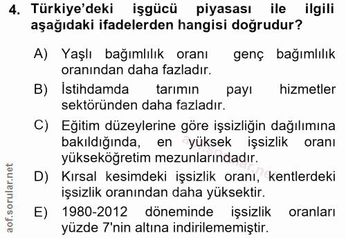 4. soru: Türkiye'deki işgücü piyasası ile ilgili aşağıdaki ifadelerden hangisi doğrudur? A) Yaşlı bağımlılık oranı genç bağıml…