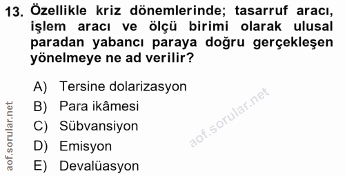 13. soru: Özellikle kriz dönemlerinde; tasarruf aracı, işlem aracı ve ölçü birimi olarak ulusal paradan yabancı paraya doğru ge…
