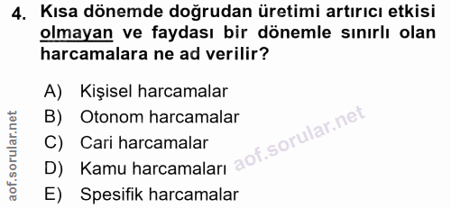 4. soru: Kısa dönemde doğrudan üretimi artırıcı etkisi olmayan ve faydası bir dönemle sınırlı olan harcamalara ne ad verilir?…