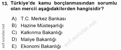 13. soru: Turkiye'de kamu borçlanmasından sorumlu olan mercii aşağıdakilerden hangisidir? A) T.C. Merkez Bankası B) Hazine Müst…