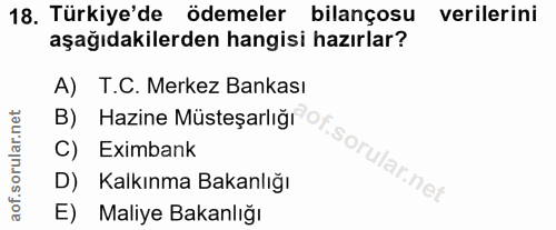 18. soru: Türkiye'de ödemeler bilançosu verilerini aşağıdakilerden hangisi hazırlar? A) T.C. Merkez Bankası B) Hazine Müsteşarl…