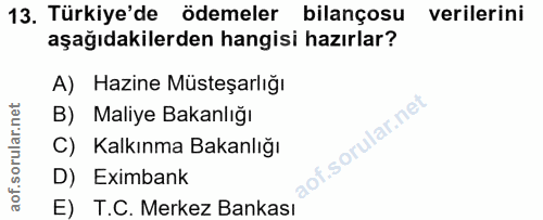 13. soru: Türkiye'de ödemeler bilançosu verilerini aşağıdakilerden hangisi hazırlar? A) Hazine Müsteşarlığı B) Maliye Bakanlığı…