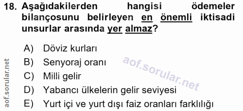 18. soru: Aşağıdakilerden hangisi ödemeler bilançosunu belirleyen en önemli iktisadi unsurlar arasında yer almaz? A) Döviz kurl…
