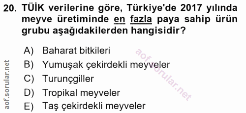 20. soru: TUIK verilerine göre, Türkiye'de 2017 yılında meyve üretiminde en fazla paya sahip ürün grubu aşağıdakilerden hangisi…